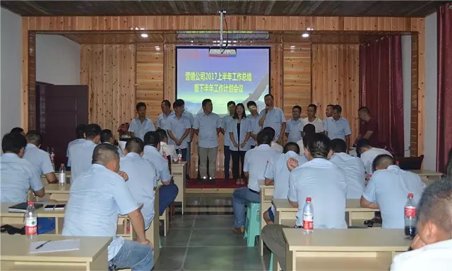 重慶智邦工程機械（集團）營銷公司2017上半年度工作會議
